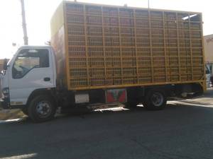 قیمت اتاق جوجه ای  مسقف خاور 