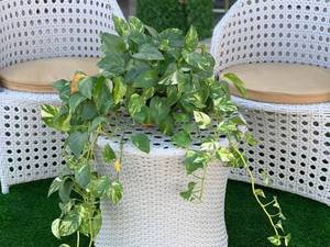مبل حصیری جنس رتن 