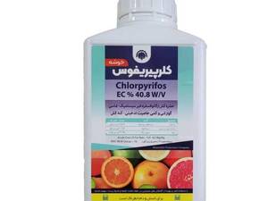سم حشره کش کلریپریفوس در رشت