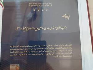 رزومه کاری مجموعه دکوراسیون حاصلی