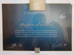 رزومه کاری مجموعه دکوراسیون حاصلی