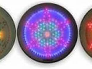  چراغ LED دکوراتیو طرح گلبرگ در یزد