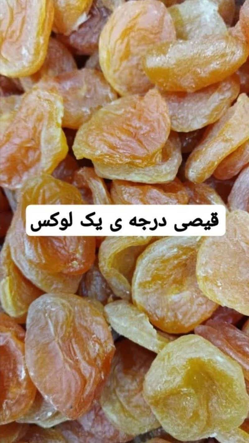 فروش قیسی درجه یک مراغه