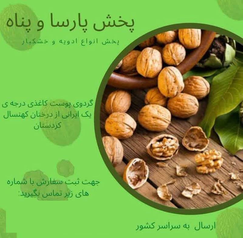 فروش گردو پوست کاغذی تبریز در رشت