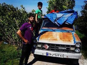 ارسال نواع نهال به سراسر کشور