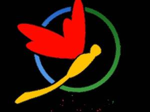 قیمت ست ورزشی پارکی در تهران