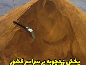پخش عمده زردچوبه شریفی