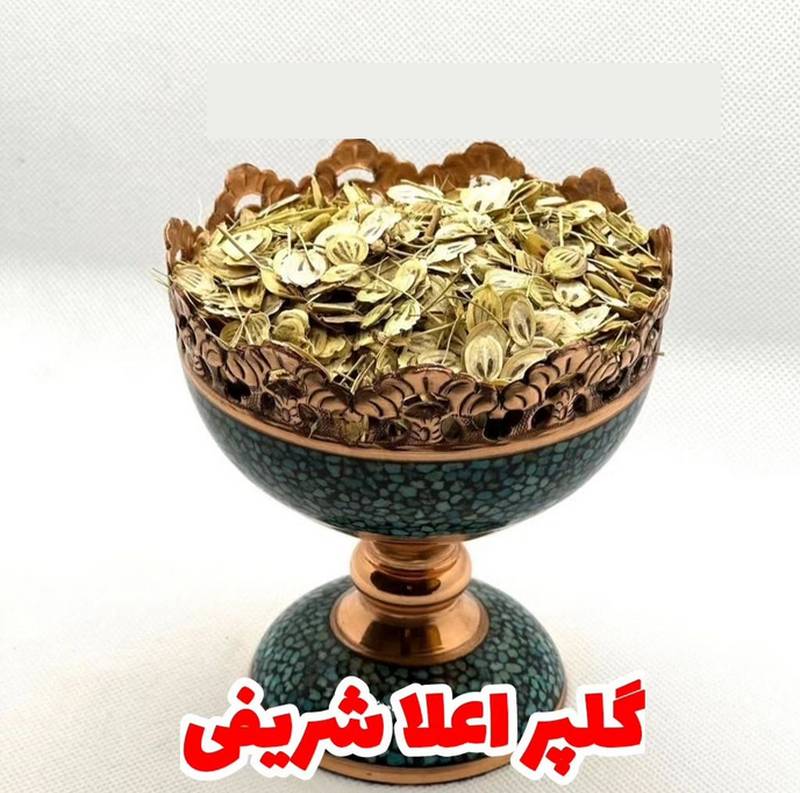 فروش و قیمت گلپر اعلا شریفی