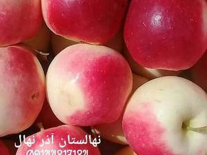 فروش نهال سیب گوشتی و آبدار