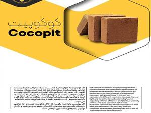 فروش و قیمت خاک کوکوپیت در آذربایجان