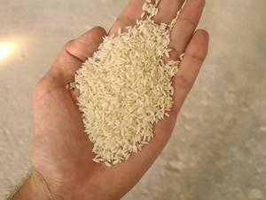 بهترین برنج عنبربو در اهواز