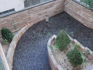 فروشگاه سنگ لاشه و سنگ مالون و سنگ ورقه اي طبيعي 