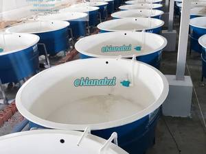 قیمت ساخت استخر پرورش ماهی