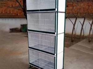 قیمت و خرید قفس چهار طبقه بلدرچین
