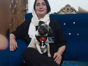 مربی سگ نژاد پاگ در رشت