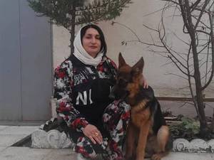 تربیت سگ آرام در گیلان