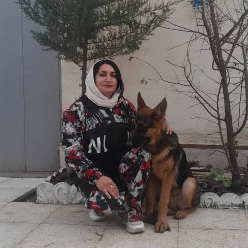 تربیت سگ آرام در گیلان