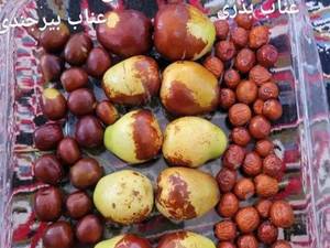 نهال عناب اوکراینی
