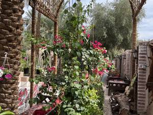 اجاره بومگردی کلوت های شهداد
