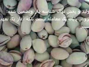 تولید فروش نهال بادام خوشه ای در خواف