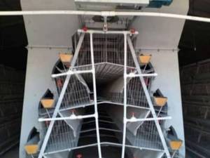 قیمت قفس مرغ تخم گذار