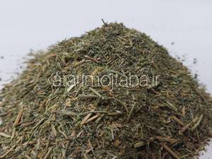 گیاه شاه تره ( شاتره )