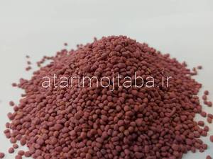 بذر تربچه (مخصوص کاشت)