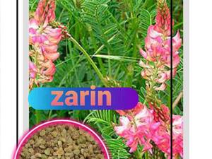 فروش بذر یونجه و بذرعلوفه به قیمت تولیدی