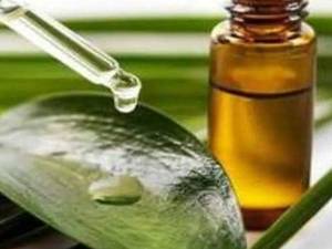 روغن درخت چای ارگانیک