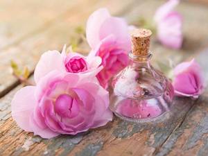قیمت و خرید گلاب و عرقیات سیاهدره 