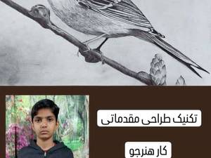 آموزش طراحی مقدماتی با مداد