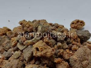 آنغوزه ایرانی چیست