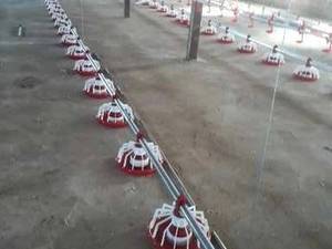 فروش ونصب دانخوری بشقابی استان قزوین 