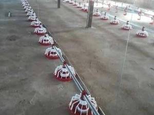 فروش لوازم مرغداری استان قزوین 