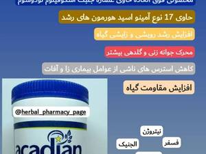 جلبک دریایی آکادین پلنت هلس