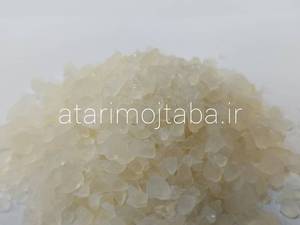گیاه تباشیر