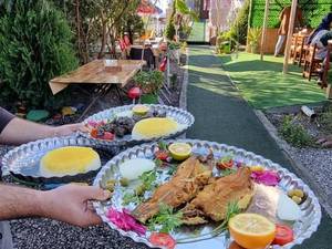 بهترین کبابی در رشت
