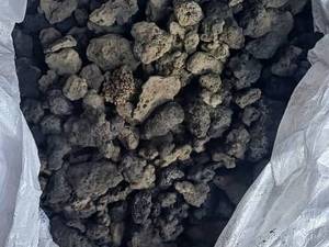 فروش بهترین شلاکه تمیز شده