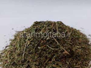 خرید گیاه استویا 