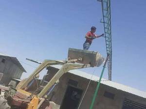 سیستم انتقال دان به چه صورت است؟