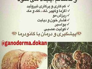 درمان کبد چرب با گانودرما