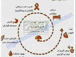 نقش گانودرما در سلامتی