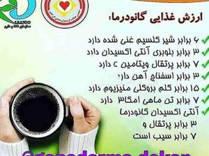ارزش غذایی گانودرما