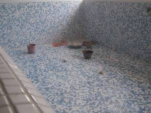 ساخت صفر تا صد استخر سرپوشیده پروژه لاهیجان گیلان