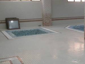 آب بندی استخر سر پوشیده در فردیس