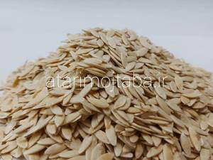 خرید و قیمت بذر خیار خوراکی