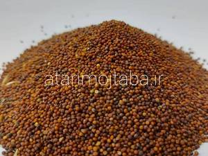 بذر شلغم 180 گرمی شاهین شهر