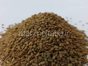بذر شنبلیله خرید اصفهان
