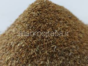 خرید بذر کرفس