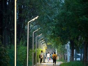 قیمت پایه روشنایی پارکی مدرن در رشت